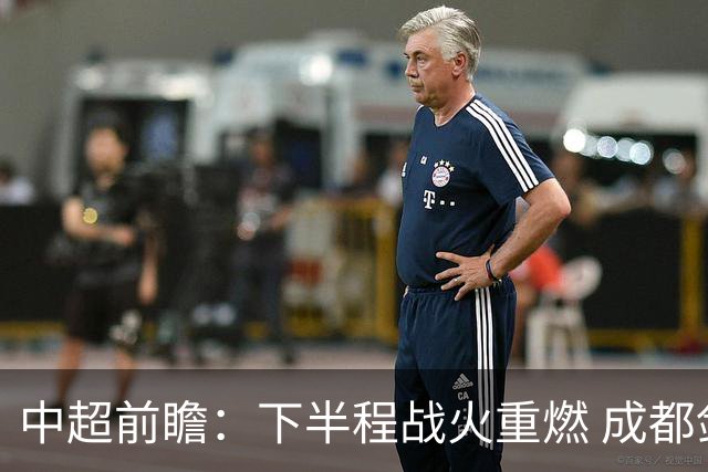 中超前瞻：下半程战火重燃 成都剑指三分申花求反弹