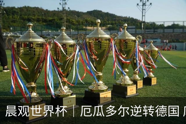 晨观世界杯｜厄瓜多尔逆转德国 库拉索止步小组赛